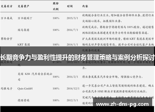 长期竞争力与盈利性提升的财务管理策略与案例分析探讨