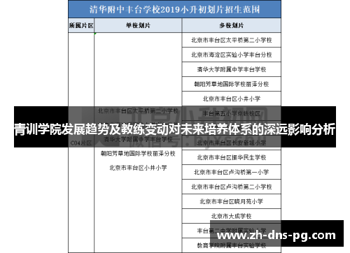 青训学院发展趋势及教练变动对未来培养体系的深远影响分析